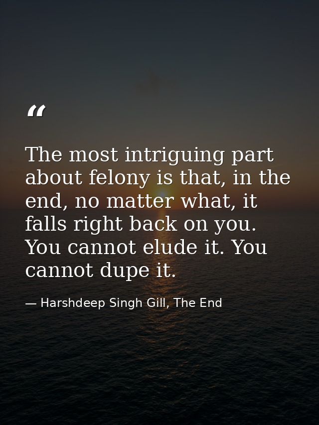 The most intriguing part about felony is that, in the end, no matter what, it falls right back on you. You cannot elude  — Harshdeep Singh Gill, The End