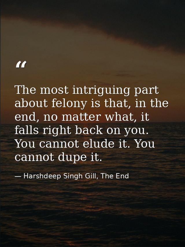 The most intriguing part about felony is that, in the end, no matter what, it falls right back on you. You cannot elude  — Harshdeep Singh Gill, The End