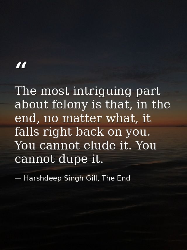 The most intriguing part about felony is that, in the end, no matter what, it falls right back on you. You cannot elude  — Harshdeep Singh Gill, The End