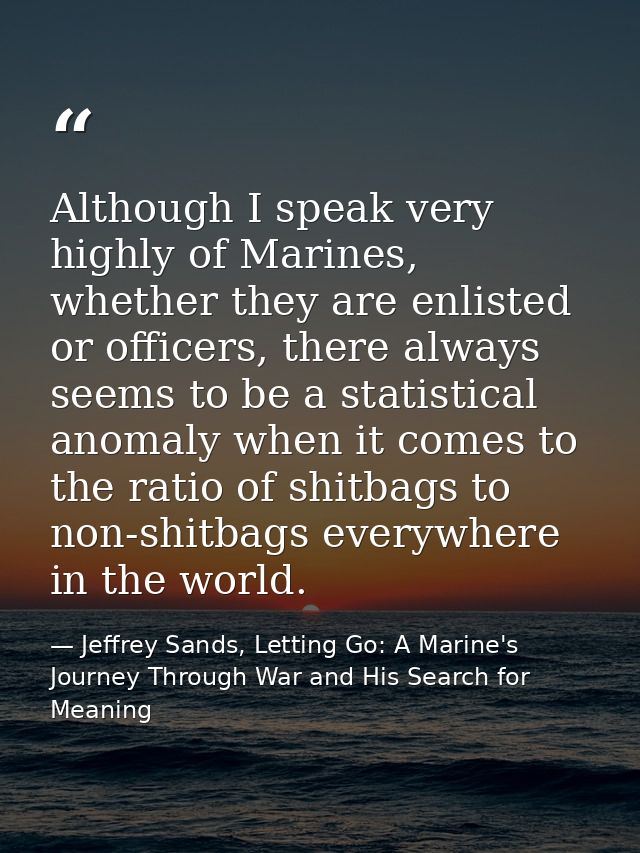 Although I speak very highly of Marines, whether they are enlisted or officers, there always seems to be a statistical a — Jeffrey Sands, Letting Go: A Marine's Journey Through War and His Search for Meaning