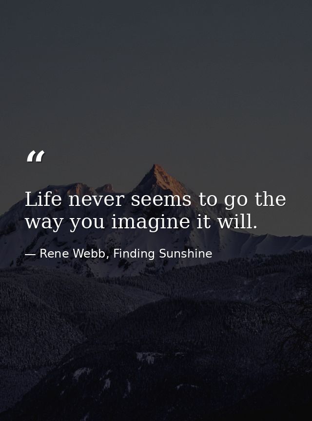 Life never seems to go the way you imagine it will. — Rene Webb, Finding Sunshine