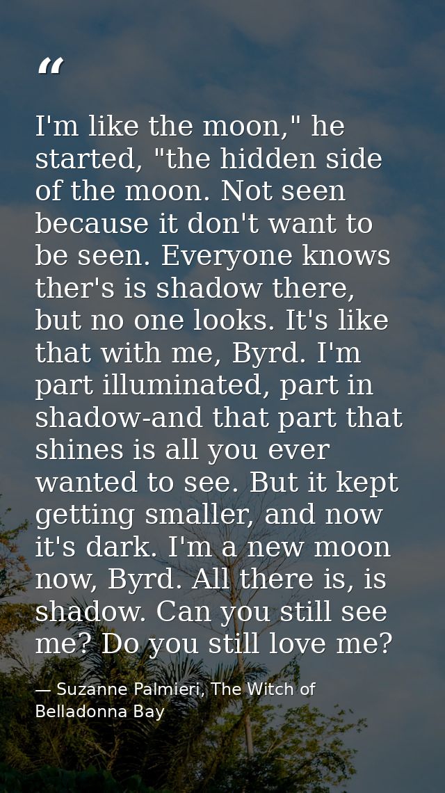 I'm like the moon," he started, "the hidden side of the moon. Not seen because it don't want to be seen. Everyone knows  — Suzanne Palmieri, The Witch of Belladonna Bay