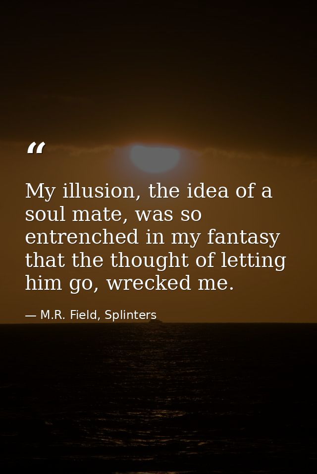 My illusion, the idea of a soul mate, was so entrenched in my fantasy that the thought of letting him go, wrecked me. — M.R. Field, Splinters