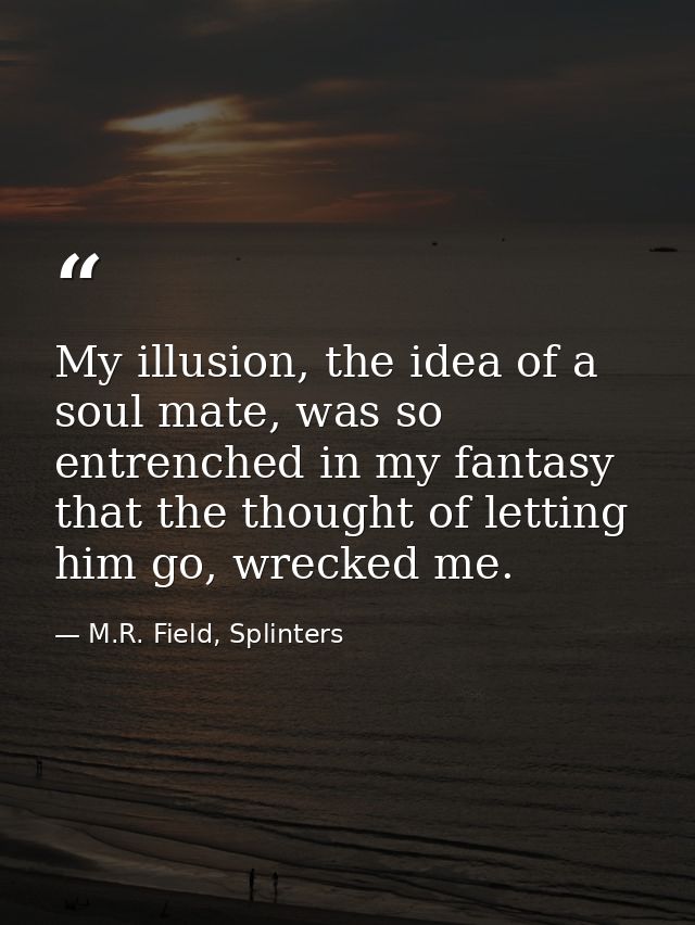 My illusion, the idea of a soul mate, was so entrenched in my fantasy that the thought of letting him go, wrecked me. — M.R. Field, Splinters