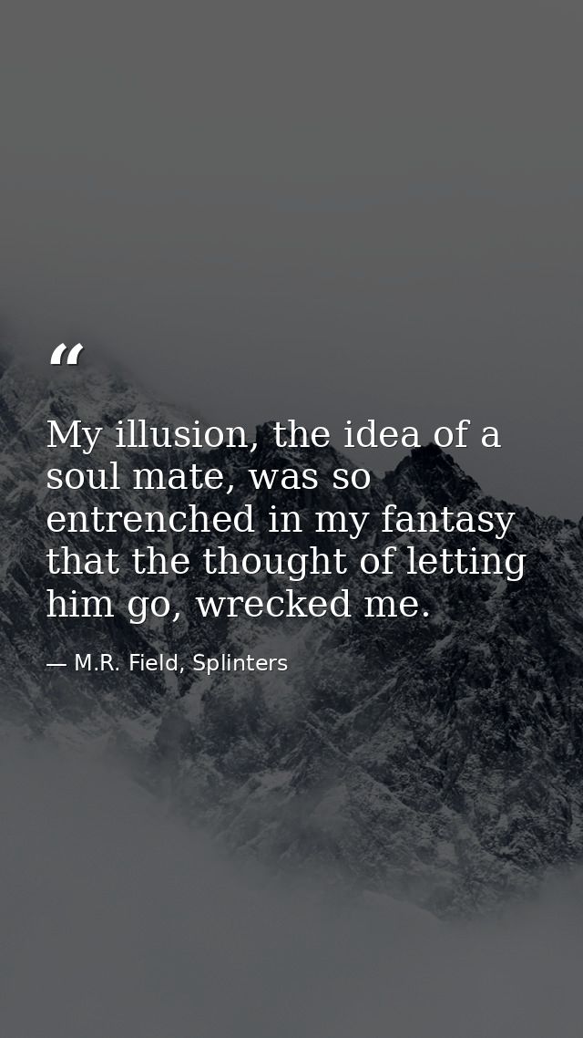 My illusion, the idea of a soul mate, was so entrenched in my fantasy that the thought of letting him go, wrecked me. — M.R. Field, Splinters