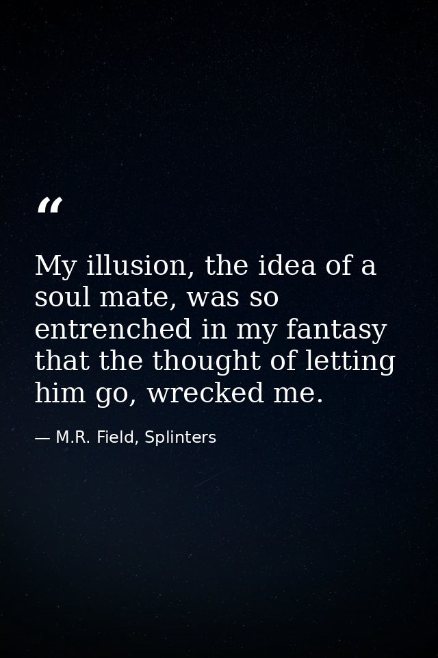 My illusion, the idea of a soul mate, was so entrenched in my fantasy that the thought of letting him go, wrecked me. — M.R. Field, Splinters