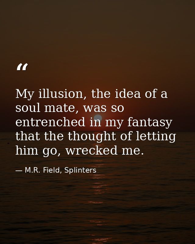 My illusion, the idea of a soul mate, was so entrenched in my fantasy that the thought of letting him go, wrecked me. — M.R. Field, Splinters