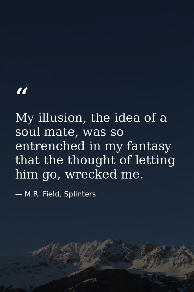 My illusion, the idea of a soul mate, was so entrenched in my fantasy that the thought of letting him go, wrecked me. — M.R. Field, Splinters