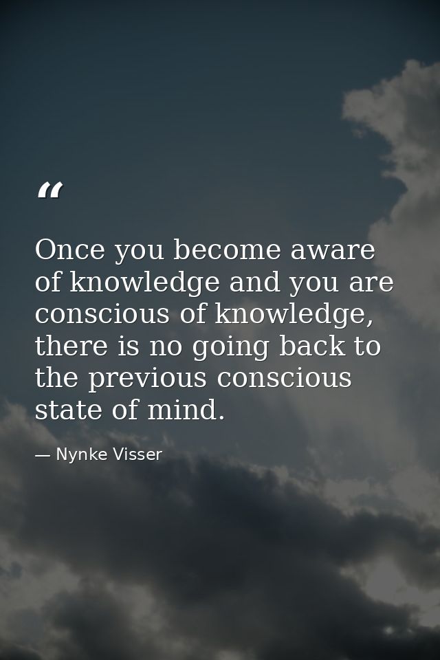 Once you become aware of knowledge and you are conscious of knowledge, there is no going back to the previous conscious  — Nynke Visser