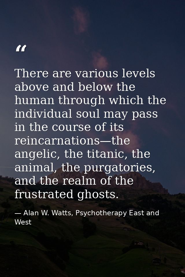 There are various levels above and below the human through which the individual soul may pass in the course of its reinc — Alan W. Watts, Psychotherapy East and West