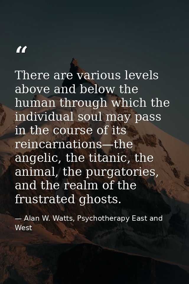 There are various levels above and below the human through which the individual soul may pass in the course of its reinc — Alan W. Watts, Psychotherapy East and West