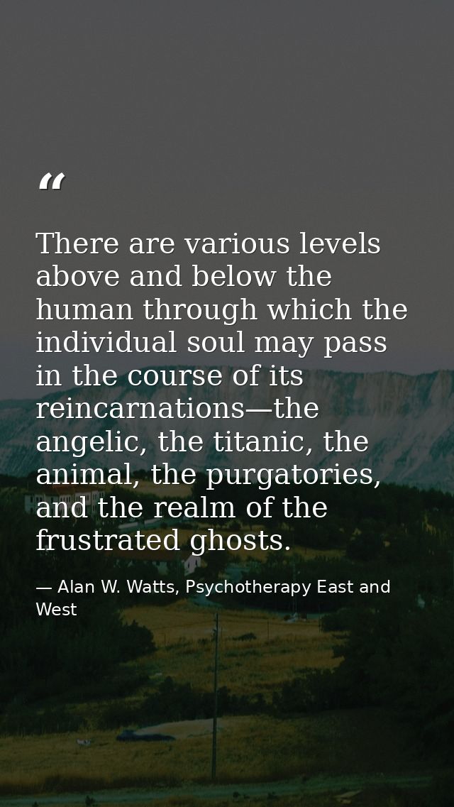 There are various levels above and below the human through which the individual soul may pass in the course of its reinc — Alan W. Watts, Psychotherapy East and West