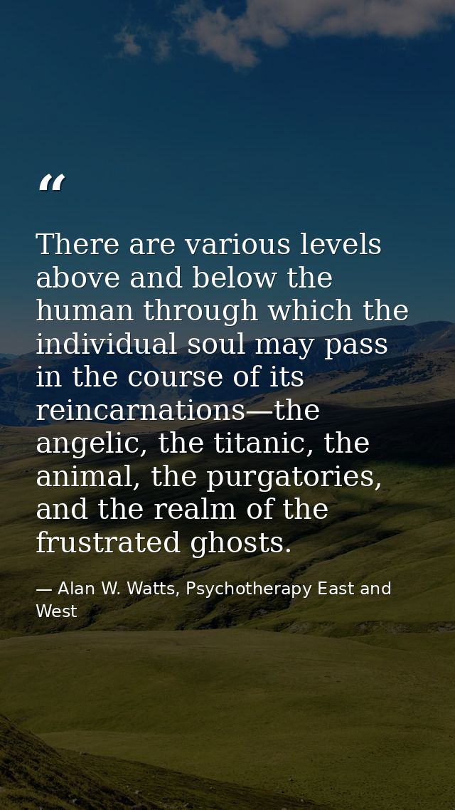 There are various levels above and below the human through which the individual soul may pass in the course of its reinc — Alan W. Watts, Psychotherapy East and West