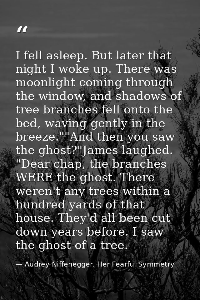 I fell asleep. But later that night I woke up. There was moonlight coming through the window, and shadows of tree branch — Audrey Niffenegger, Her Fearful Symmetry
