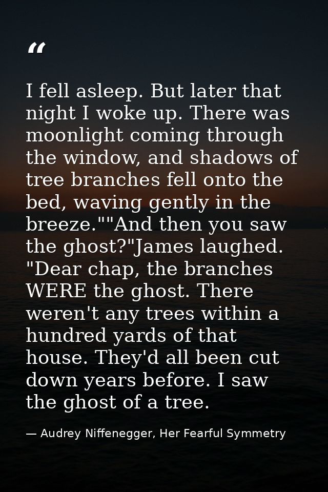 I fell asleep. But later that night I woke up. There was moonlight coming through the window, and shadows of tree branch — Audrey Niffenegger, Her Fearful Symmetry