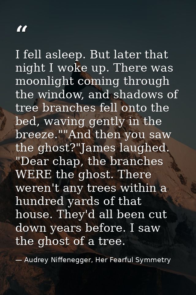 I fell asleep. But later that night I woke up. There was moonlight coming through the window, and shadows of tree branch — Audrey Niffenegger, Her Fearful Symmetry