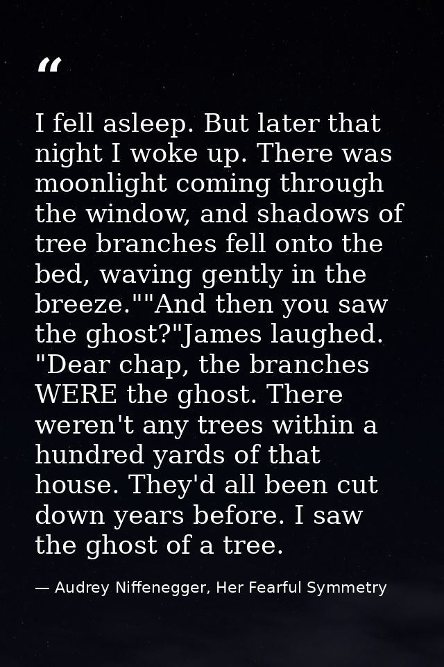 I fell asleep. But later that night I woke up. There was moonlight coming through the window, and shadows of tree branch — Audrey Niffenegger, Her Fearful Symmetry