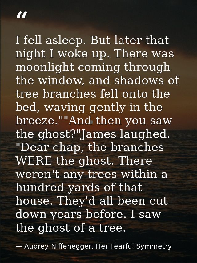 I fell asleep. But later that night I woke up. There was moonlight coming through the window, and shadows of tree branch — Audrey Niffenegger, Her Fearful Symmetry