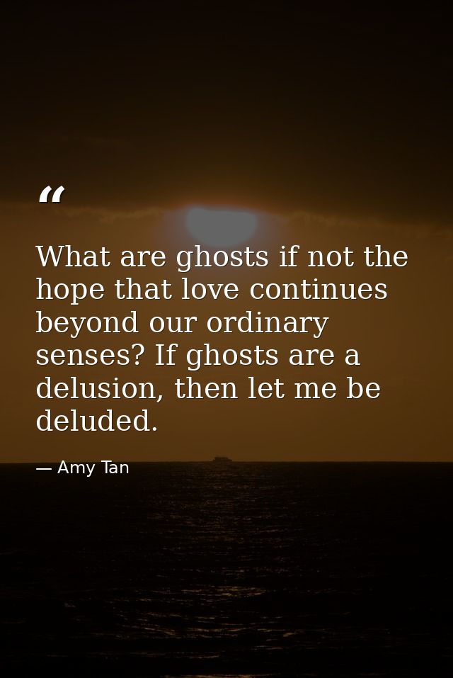 What are ghosts if not the hope that love continues beyond our ordinary senses? If ghosts are a delusion, then let me be — Amy Tan