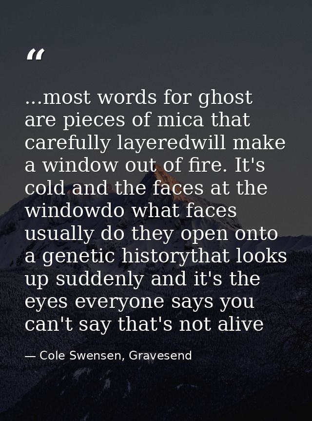...most words for ghost are pieces of mica that carefully layeredwill make a window out of fire. It's cold and the faces — Cole Swensen, Gravesend