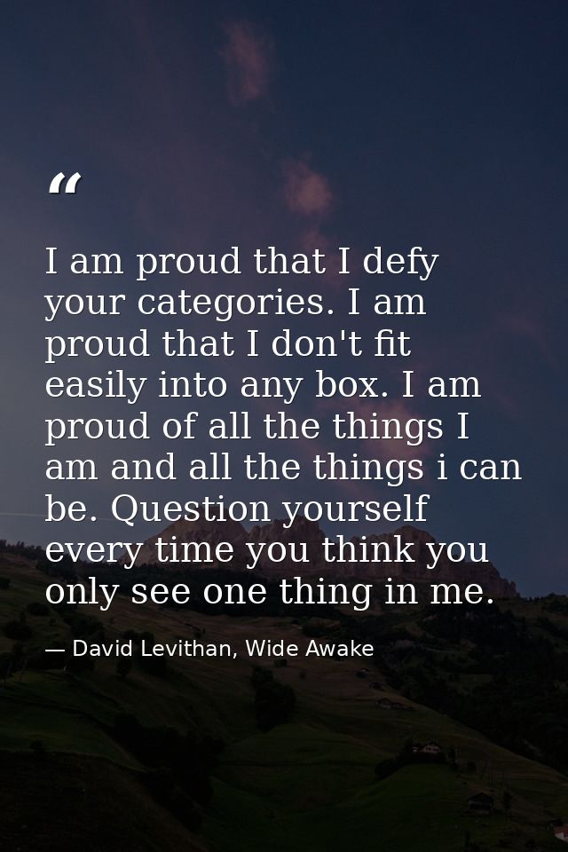 I am proud that I defy your categories. I am proud that I don't fit easily into any box. I am proud of all the things I  — David Levithan, Wide Awake
