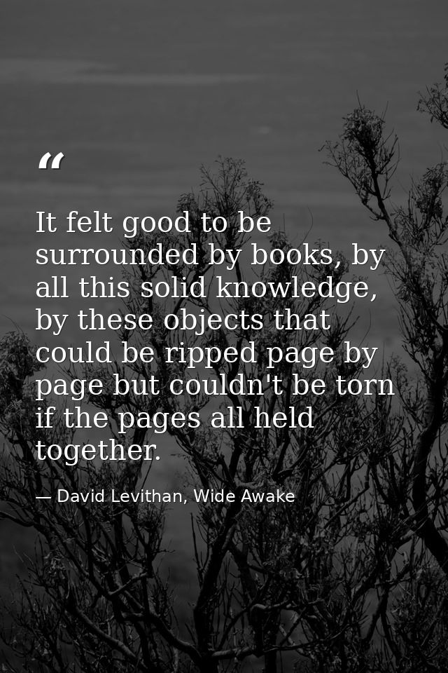 It felt good to be surrounded by books, by all this solid knowledge, by these objects that could be ripped page by page  — David Levithan, Wide Awake