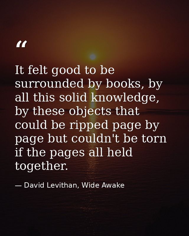 It felt good to be surrounded by books, by all this solid knowledge, by these objects that could be ripped page by page  — David Levithan, Wide Awake