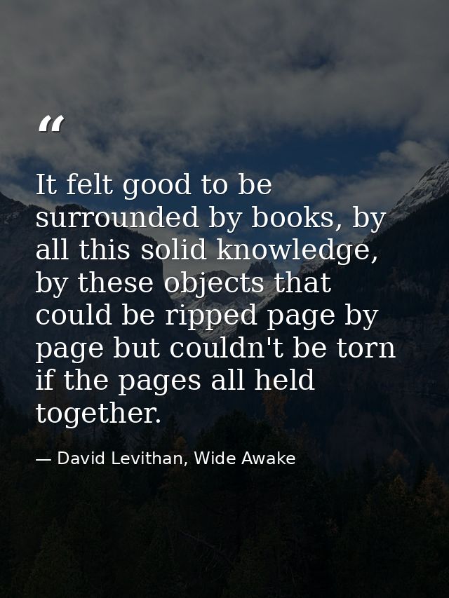 It felt good to be surrounded by books, by all this solid knowledge, by these objects that could be ripped page by page  — David Levithan, Wide Awake