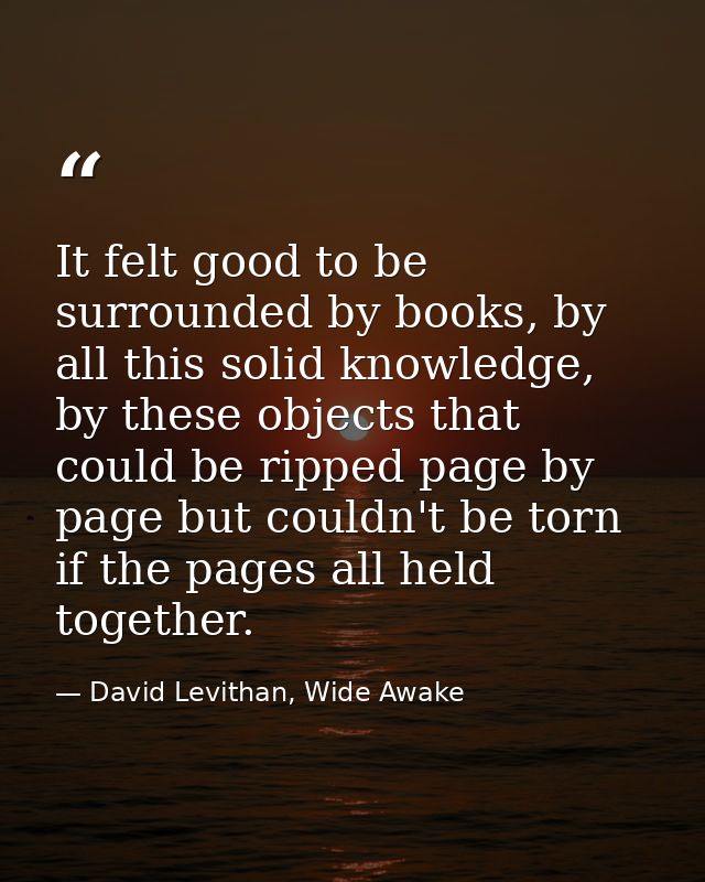 It felt good to be surrounded by books, by all this solid knowledge, by these objects that could be ripped page by page  — David Levithan, Wide Awake