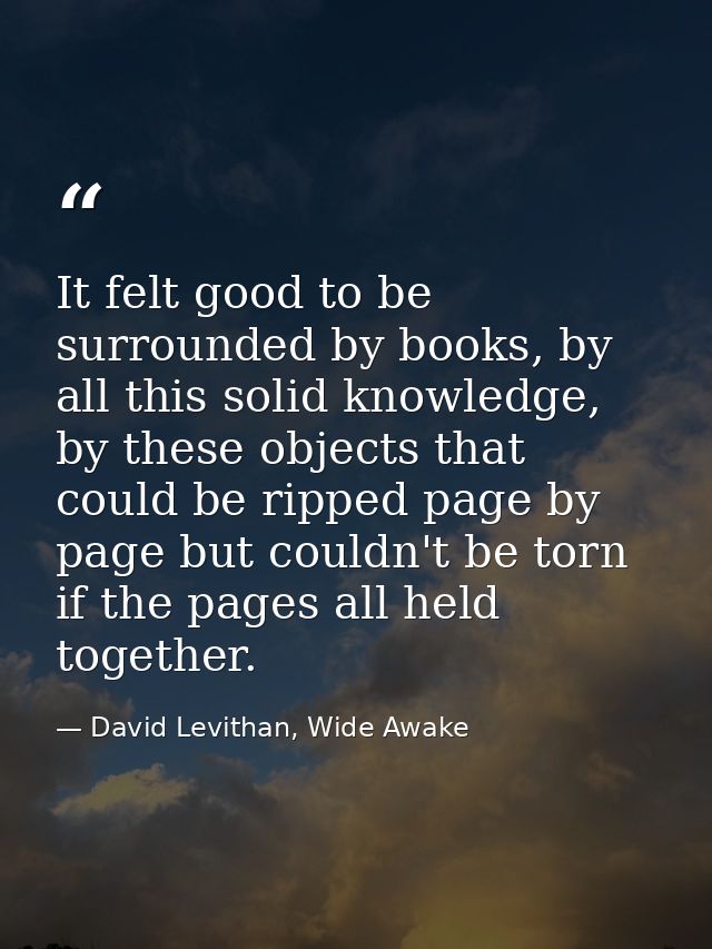 It felt good to be surrounded by books, by all this solid knowledge, by these objects that could be ripped page by page  — David Levithan, Wide Awake