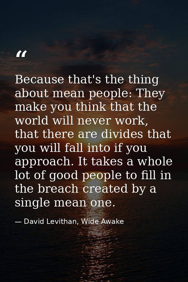 Because that's the thing about mean people: They make you think that the world will never work, that there are divides t — David Levithan, Wide Awake