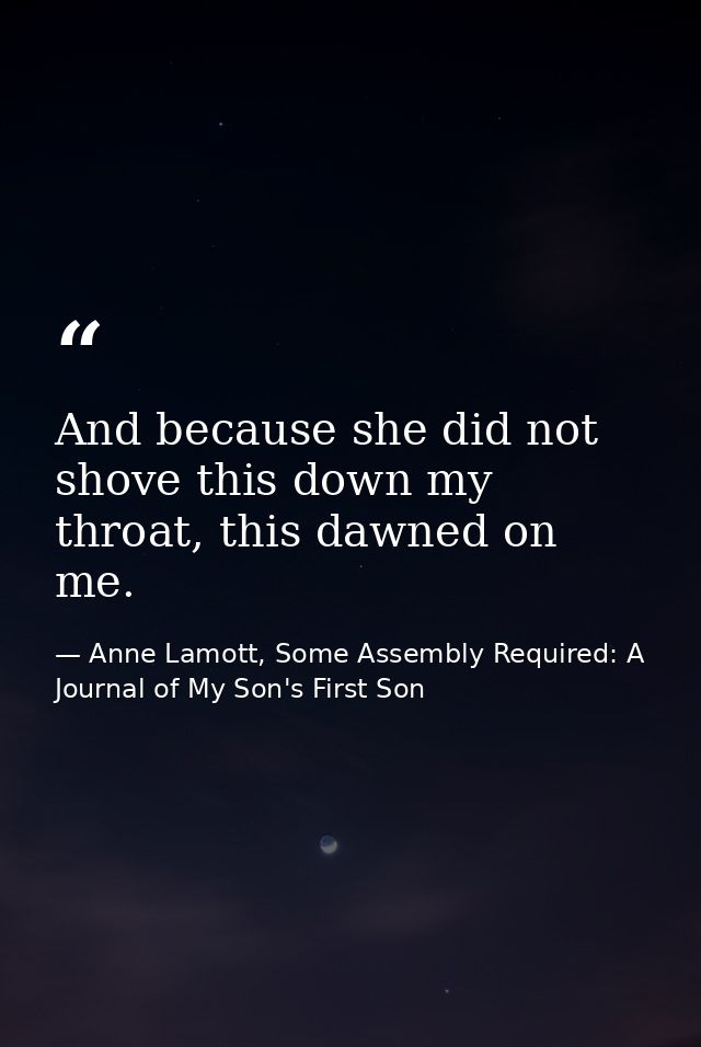 And because she did not shove this down my throat, this dawned on me. — Anne Lamott, Some Assembly Required: A Journal of My Son's First Son
