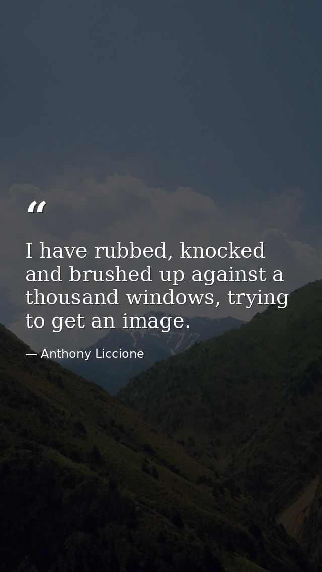 I have rubbed, knocked and brushed up against a thousand windows, trying to get an image. — Anthony Liccione