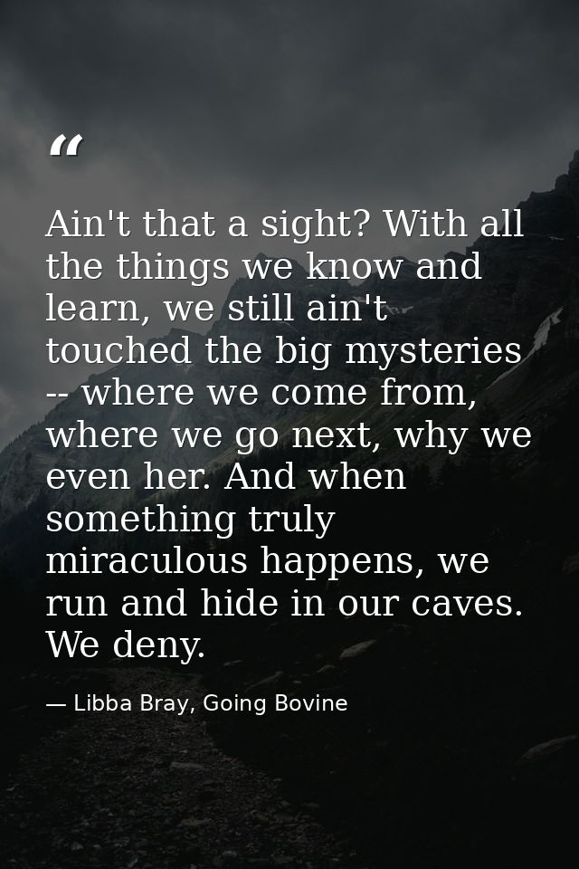 Ain't that a sight? With all the things we know and learn, we still ain't touched the big mysteries -- where we come fro — Libba Bray, Going Bovine