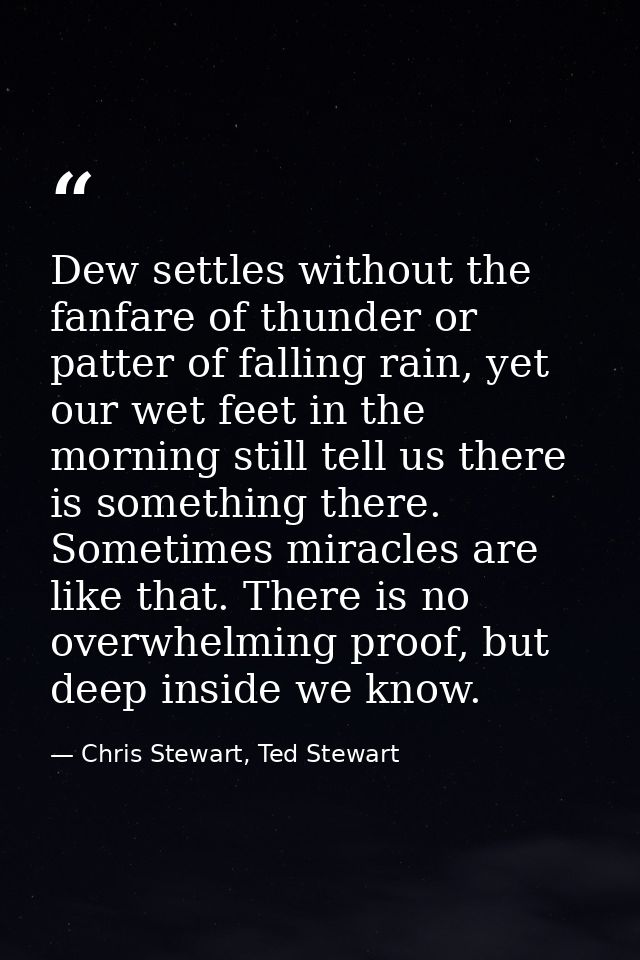 Dew settles without the fanfare of thunder or patter of falling rain, yet our wet feet in the morning still tell us ther — Chris Stewart, Ted Stewart
