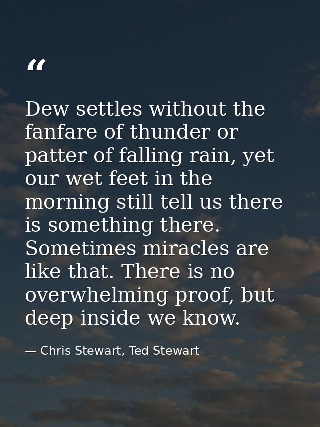 Dew settles without the fanfare of thunder or patter of falling rain, yet our wet feet in the morning still tell us ther — Chris Stewart, Ted Stewart