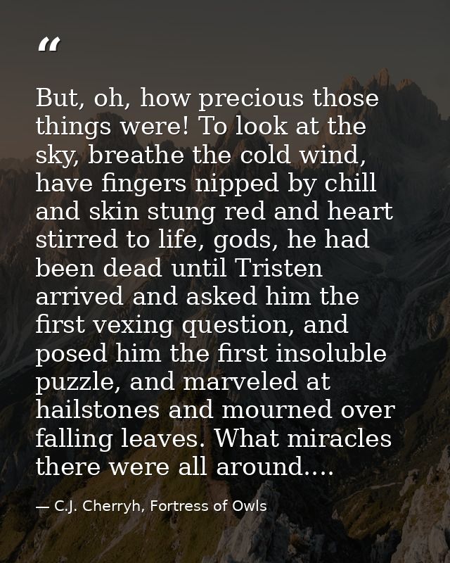But, oh, how precious those things were! To look at the sky, breathe the cold wind, have fingers nipped by chill and ski — C.J. Cherryh, Fortress of Owls
