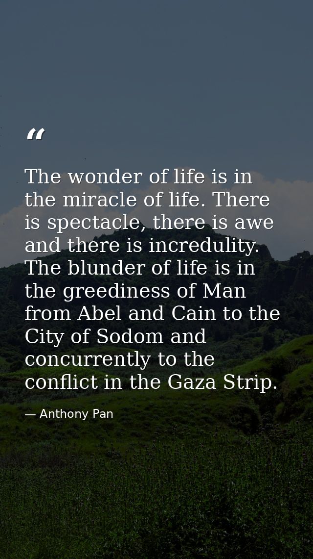 The wonder of life is in the miracle of life. There is spectacle, there is awe and there is incredulity. The blunder of  — Anthony Pan