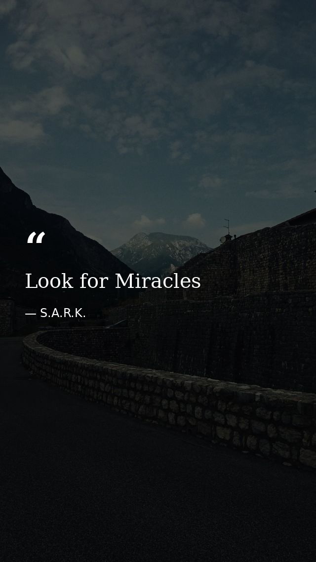 Look for Miracles — S.A.R.K.