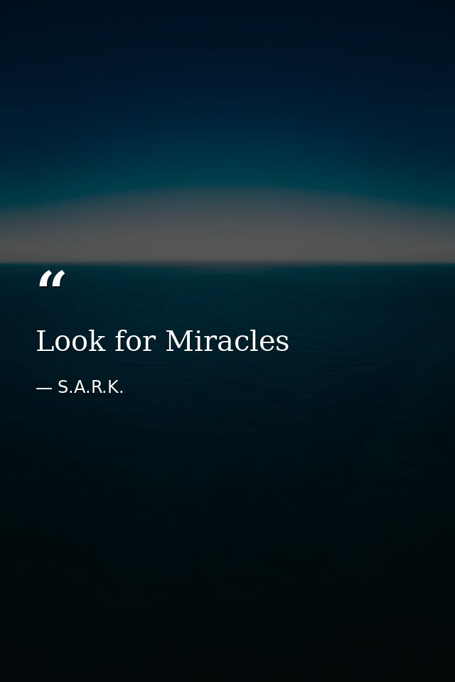 Look for Miracles — S.A.R.K.