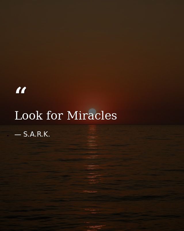 Look for Miracles — S.A.R.K.