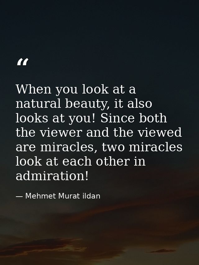 When you look at a natural beauty, it also looks at you! Since both the viewer and the viewed are miracles, two miracles — Mehmet Murat ildan