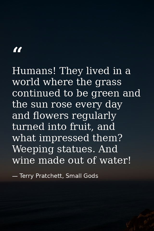 Humans! They lived in a world where the grass continued to be green and the sun rose every day and flowers regularly tur — Terry Pratchett, Small Gods