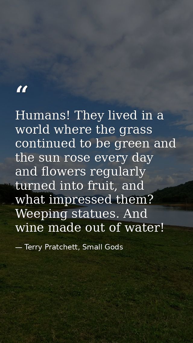 Humans! They lived in a world where the grass continued to be green and the sun rose every day and flowers regularly tur — Terry Pratchett, Small Gods
