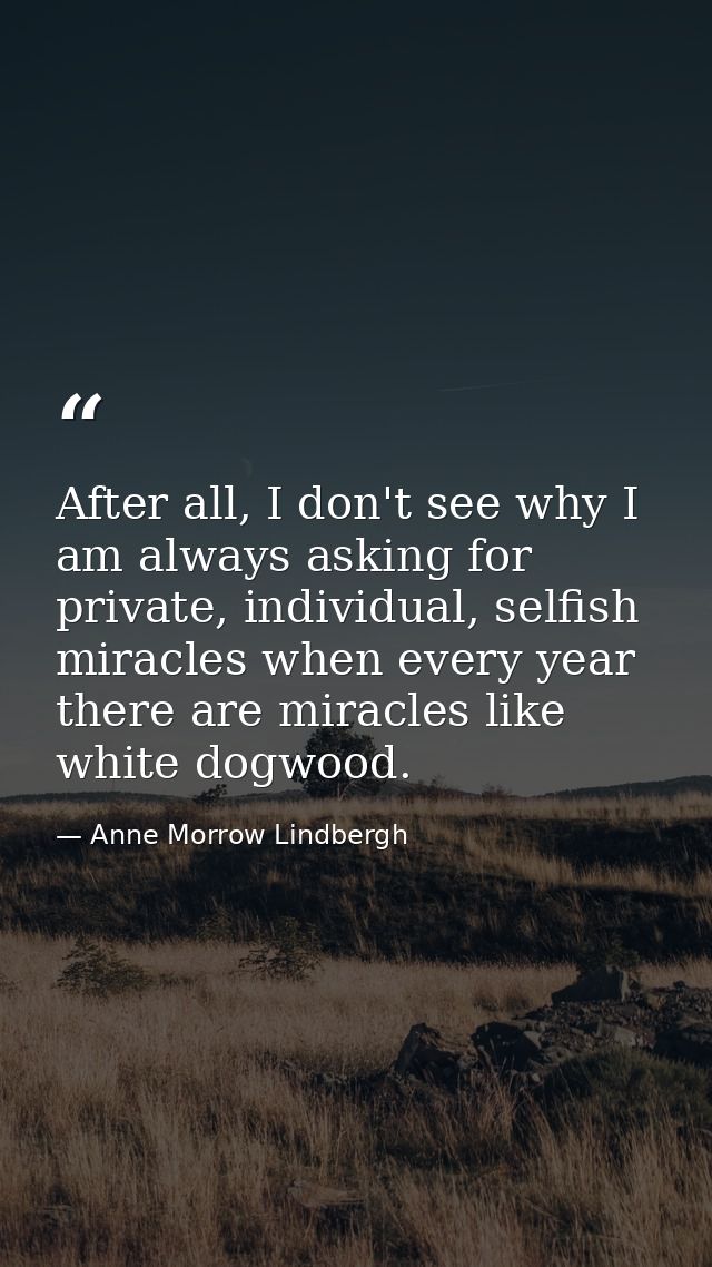 After all, I don't see why I am always asking for private, individual, selfish miracles when every year there are miracl — Anne Morrow Lindbergh