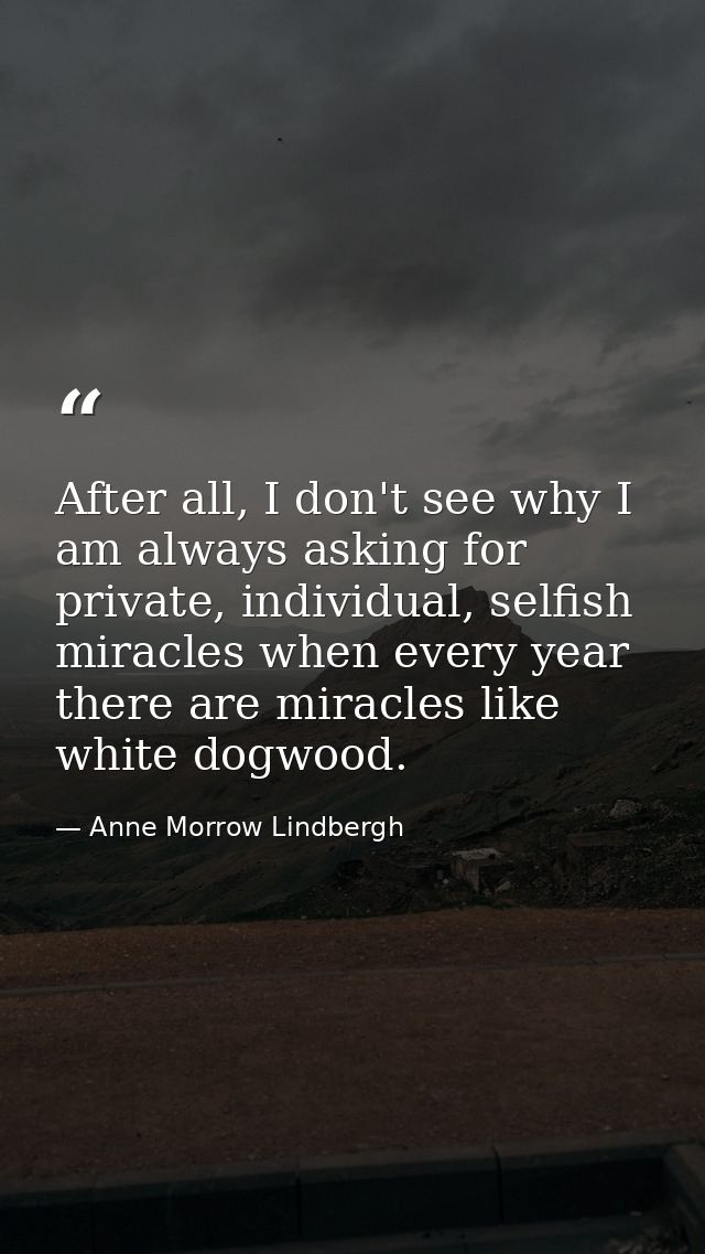 After all, I don't see why I am always asking for private, individual, selfish miracles when every year there are miracl — Anne Morrow Lindbergh