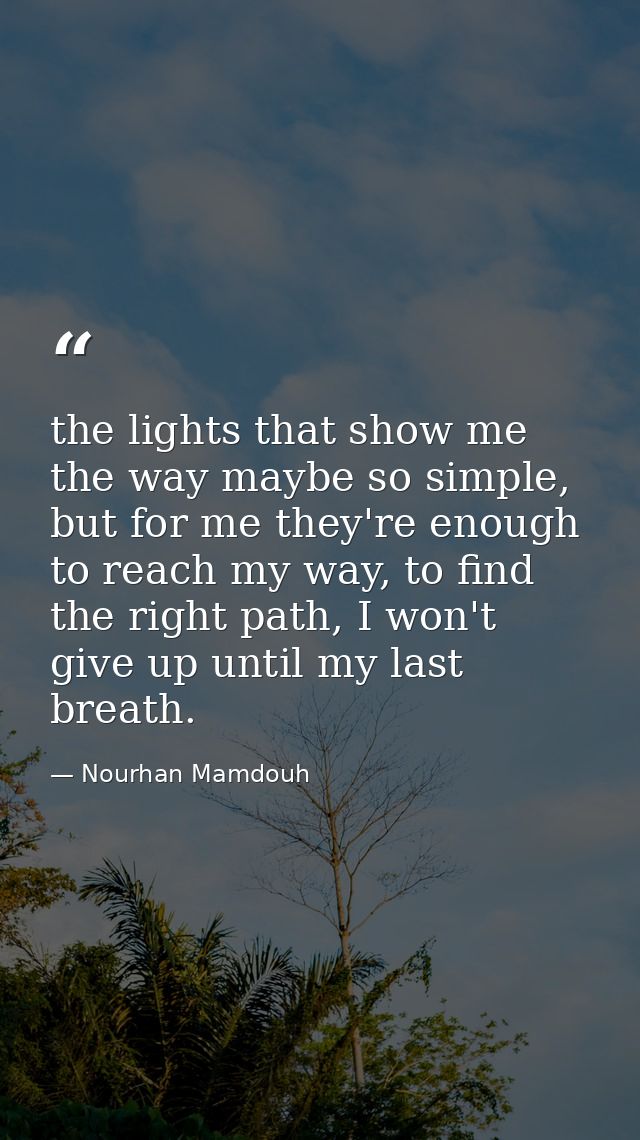 the lights that show me the way maybe so simple, but for me they're enough to reach my way, to find the right path, I wo — Nourhan Mamdouh