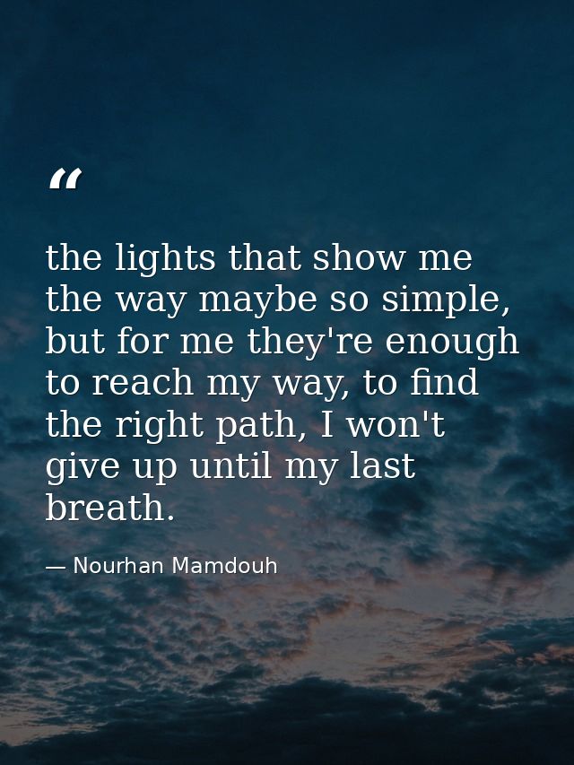 the lights that show me the way maybe so simple, but for me they're enough to reach my way, to find the right path, I wo — Nourhan Mamdouh