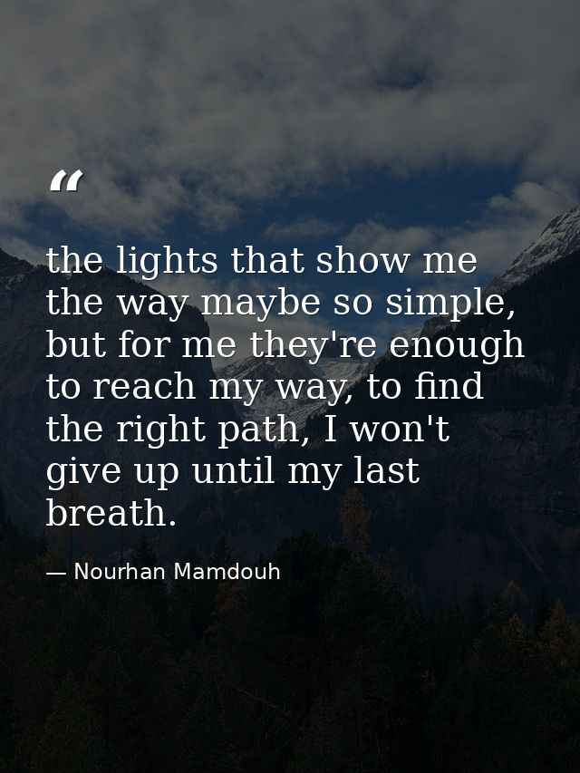 the lights that show me the way maybe so simple, but for me they're enough to reach my way, to find the right path, I wo — Nourhan Mamdouh