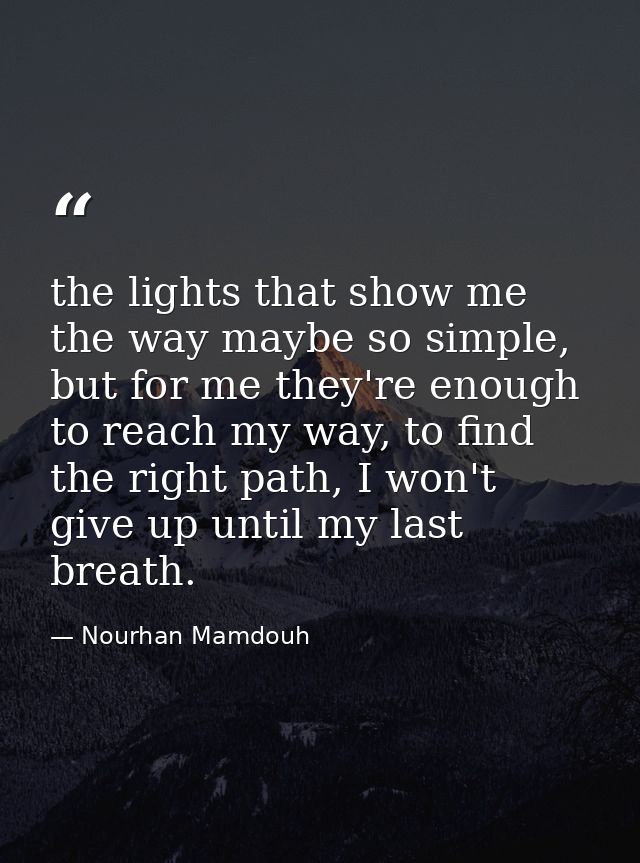the lights that show me the way maybe so simple, but for me they're enough to reach my way, to find the right path, I wo — Nourhan Mamdouh